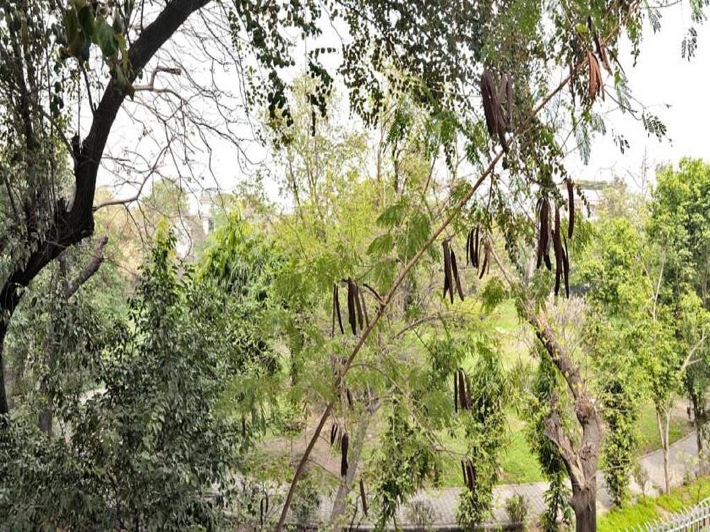 Bed and Breakfast Haveli Hauz Khas Neu-Delhi Zimmer foto