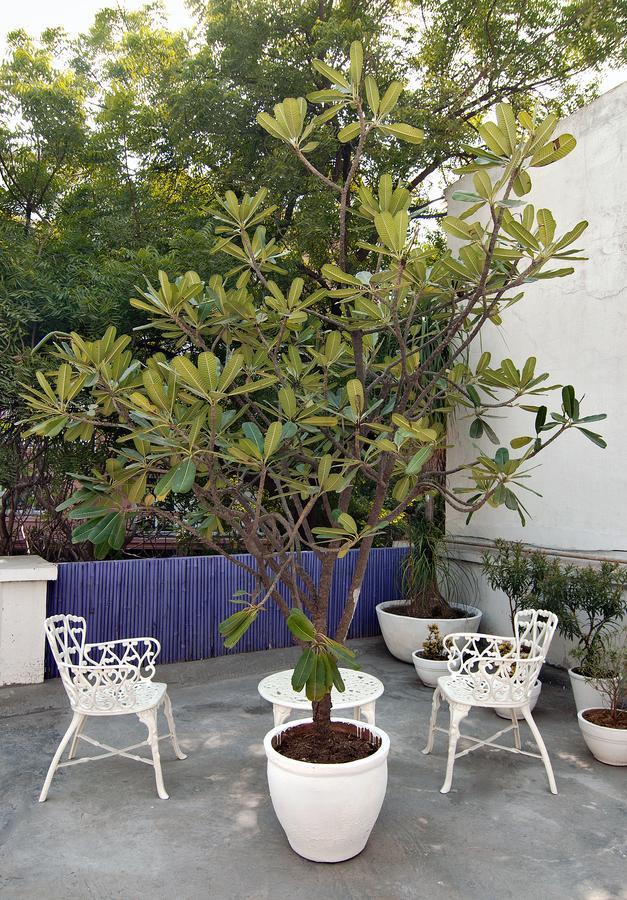 Bed and Breakfast Haveli Hauz Khas Neu-Delhi Exterior foto
